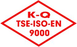 TSE